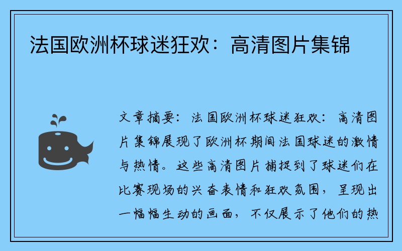 法国欧洲杯球迷狂欢：高清图片集锦